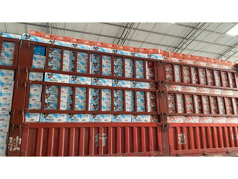 �����ֳ�