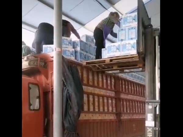 �����ֳ�