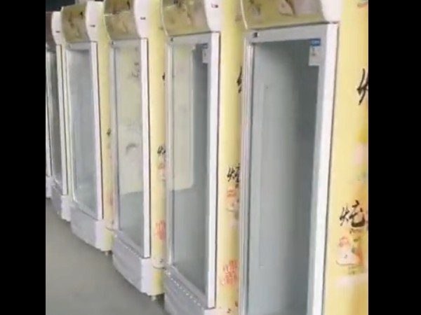 ��Ƶ����