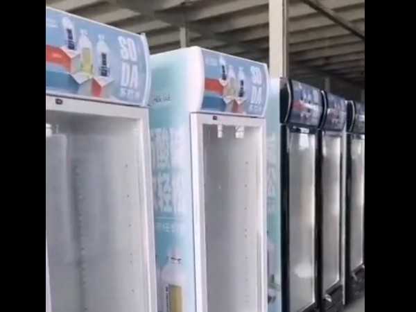 �����������Ƶ