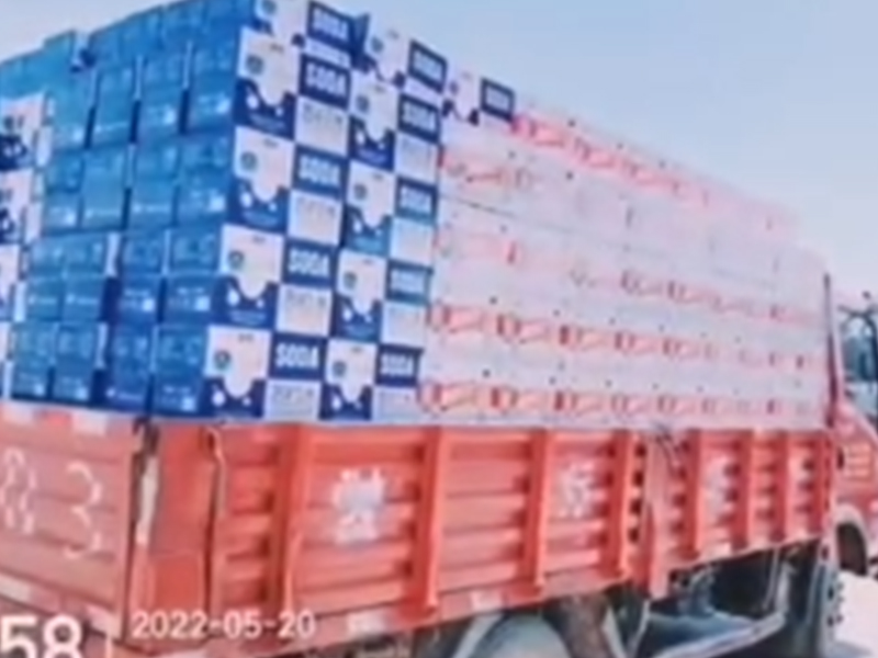 ������Ƶ