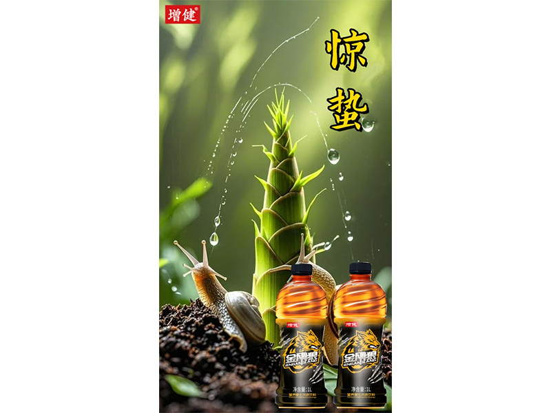 ���ش�� ��������