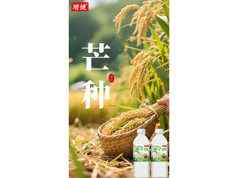 ��â��������? ���֡�������