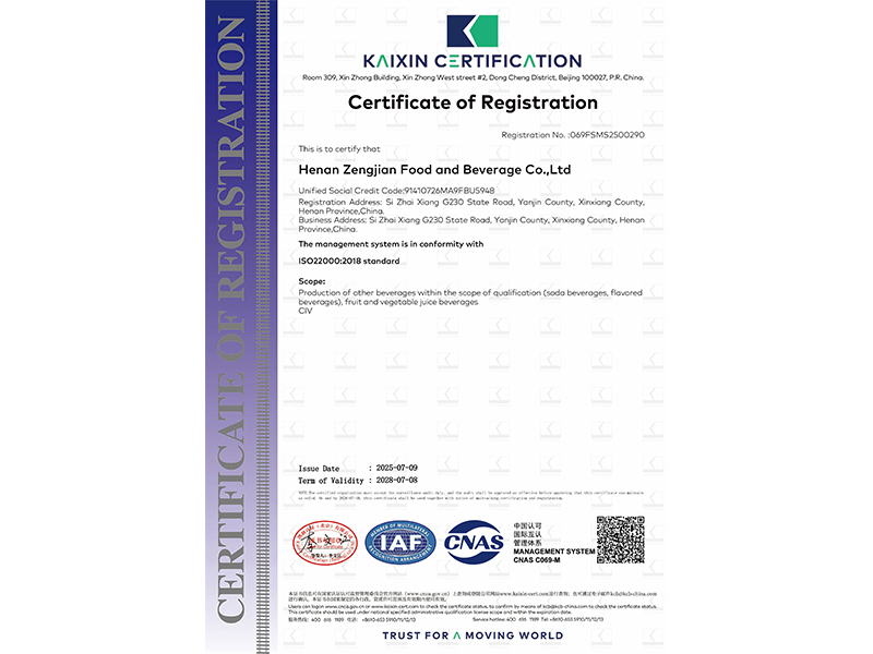 ʳ���徲����ϵͳ��֤֤�飨Ӣ�İ棩